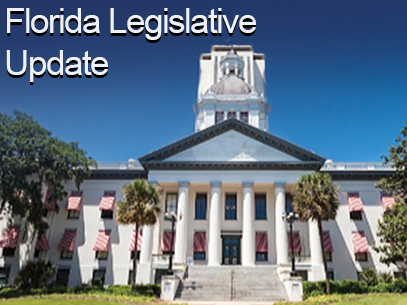 Legislative Lessons and Reminders